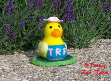 Photo of felted ducky